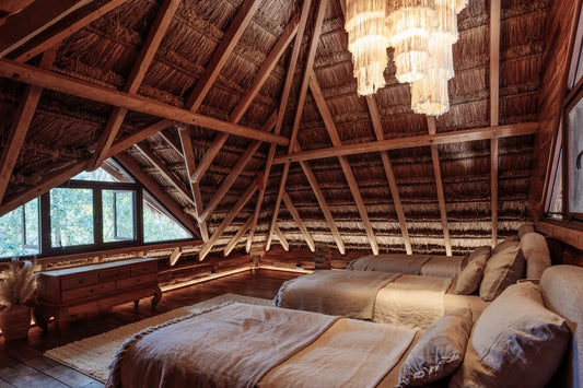 VLT Feb 2027 — BALANCE — Shared dorm no a/c